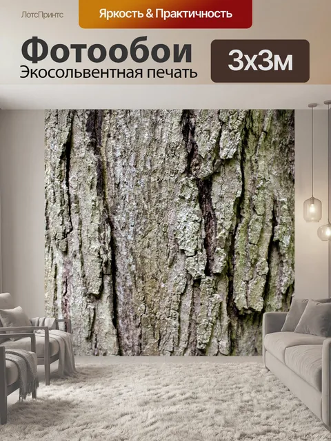 Фотообои Кора дерева