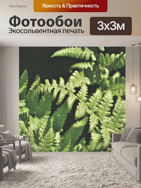 Фотообои Папоротник