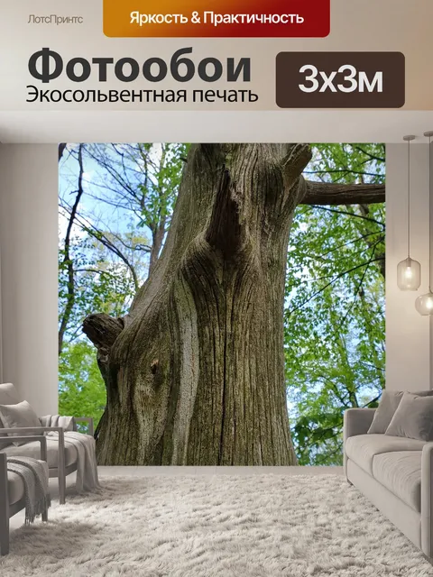 Фотообои Дерево