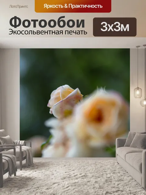 Фотообои Роза