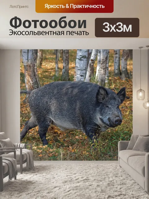 Фотообои Природа