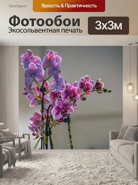 Фотообои Розовые орхидеи