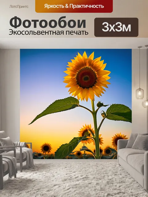 Фотообои подсолнухи, закрывающиеся на закате, их лепестки опускаются, подчеркивающие смену дня