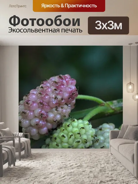 Фотообои розовая созревающая белая шелковица