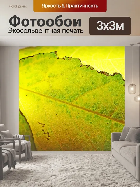 Фотообои Листья