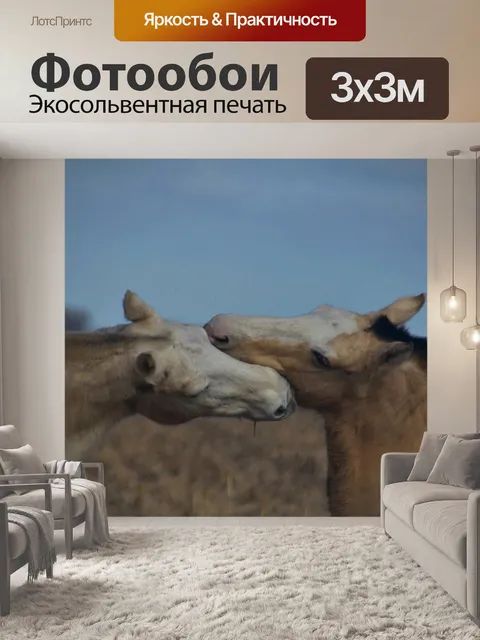 Фотообои Лошади