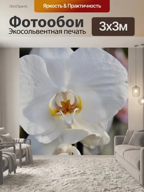 Фотообои Цветок
