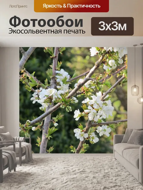 Фотообои Цветы