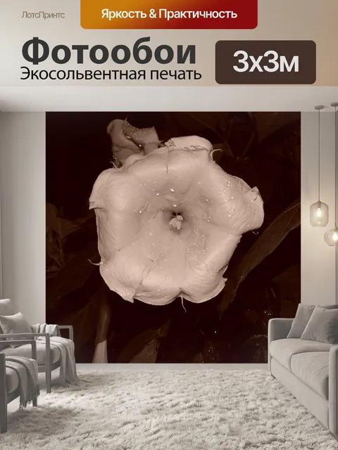 Фотообои Довольно белые ночью