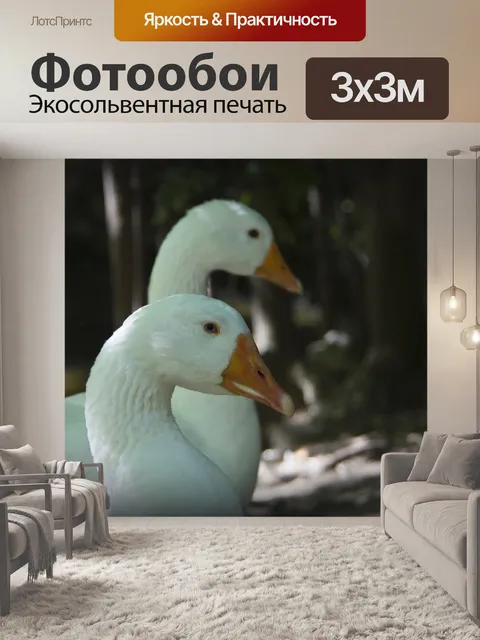 Фотообои Природа