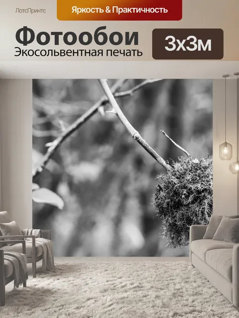 Фотообои Цветок