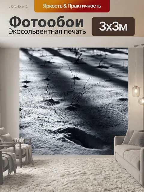 Фотообои Черно-белый