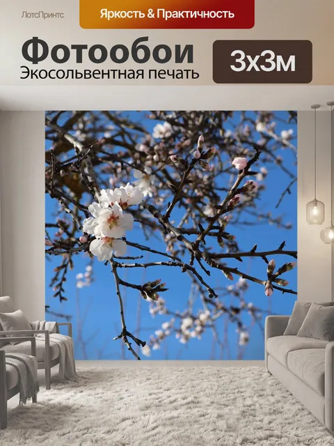 Фотообои Цветок