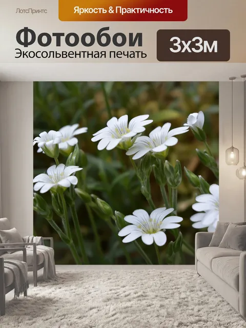 Фотообои Весна
