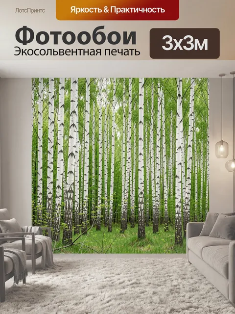 Фотообои Березовый лес летом