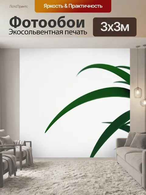 Фотообои с растением минимал