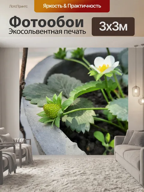 Фотообои Вишневые фрукты и цветы