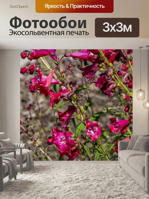 Фотообои Розовые цветы