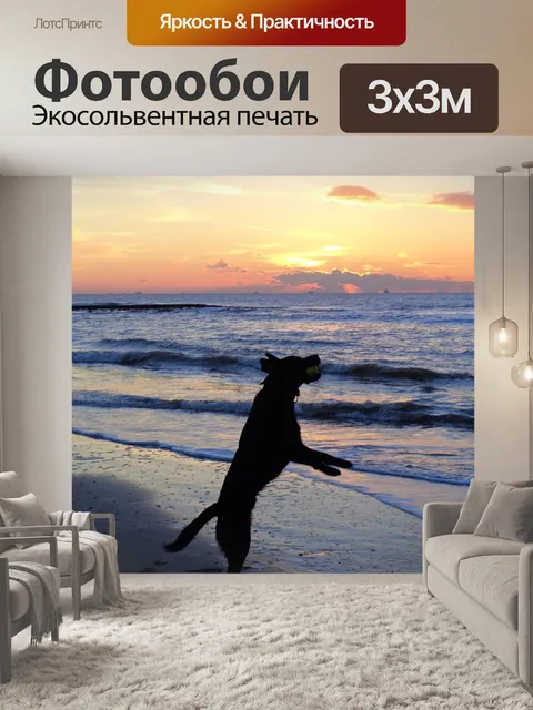Фотообои Заход солнца