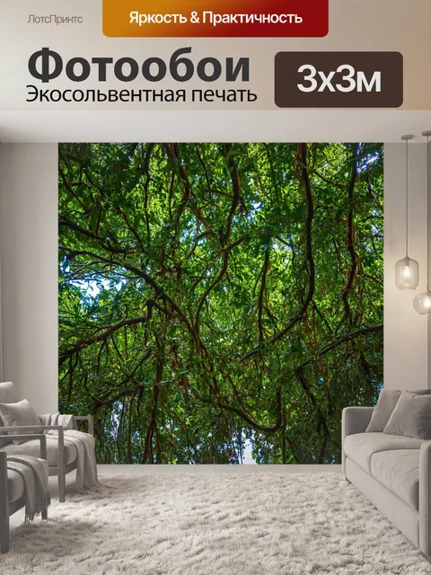 Фотообои веточки, обвитые лианами в тропическом лесу