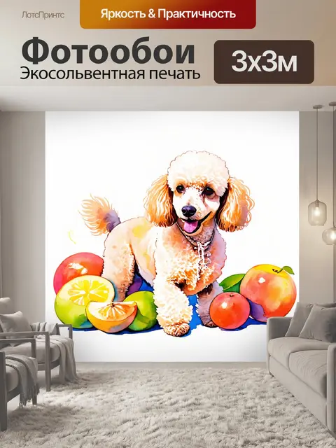 Фотообои пудель, дружелюбно обложенный фруктами, создающий атмосферу игривости и веселья, с мягкими линиями и…