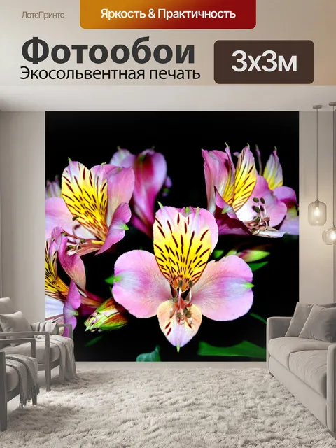 Фотообои Ирис