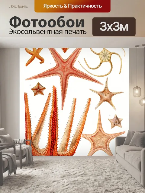 Фотообои Морская звезда Средиземноморье Винтаж ст