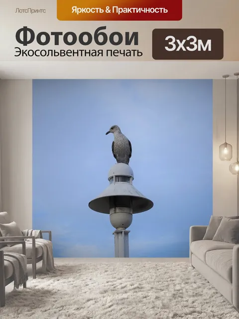 Фотообои Птица