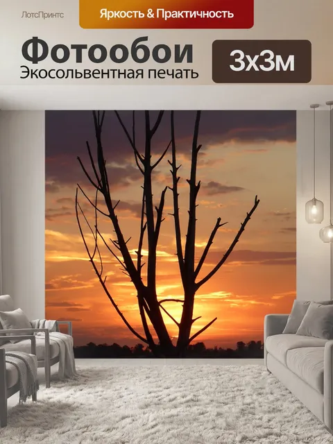 Фотообои Заход солнца