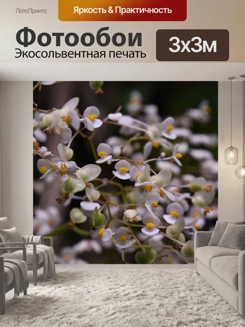 Фотообои Нежные розовые цветы