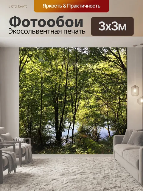 Фотообои Лес