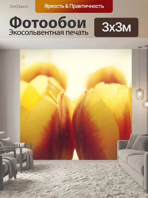 Фотообои Тюльпаны