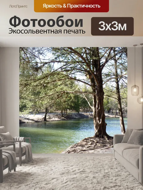 Фотообои Деревья вдоль воды