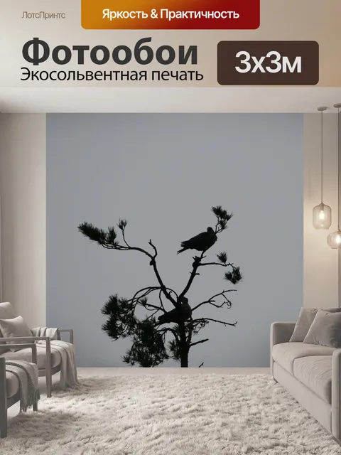 Фотообои Птицы