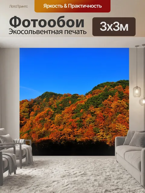 Фотообои Осень