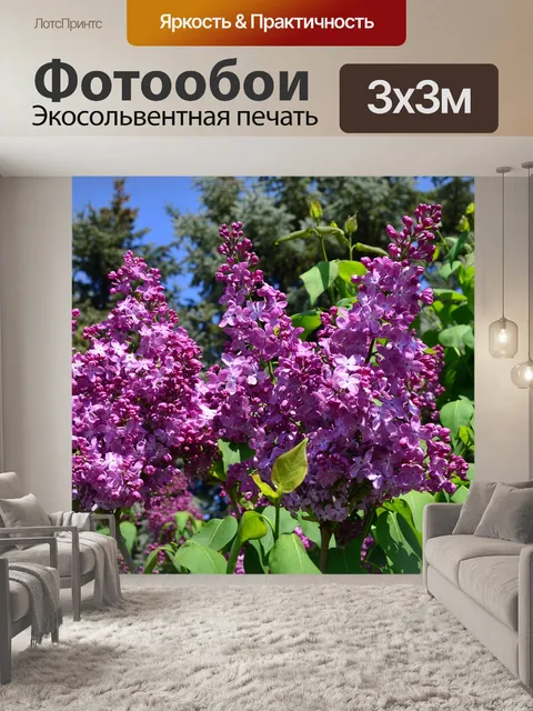 Фотообои Цветы