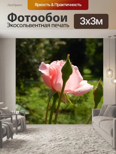 Фотообои Природа