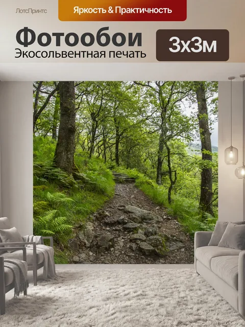 Фотообои Путь через лес