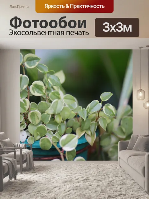 Фотообои Листья
