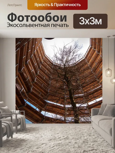 Фотообои Природная тропа на дереве