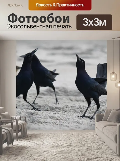 Фотообои Черные дрозды