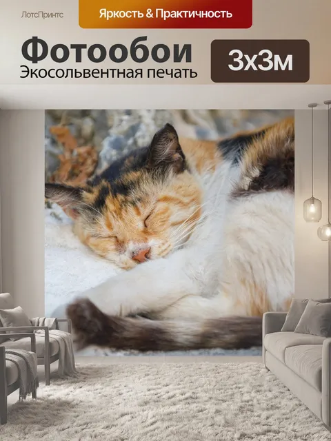 Фотообои Спящая кошка