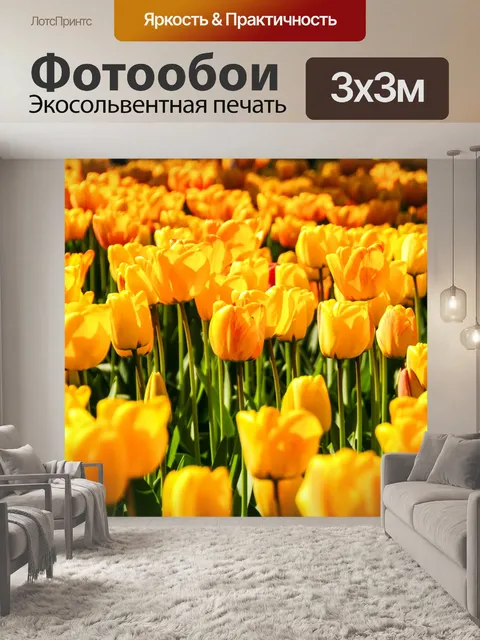 Фотообои Красивые желтые тюльпаны
