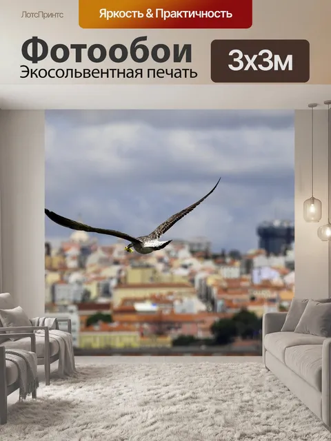 Фотообои Чайка