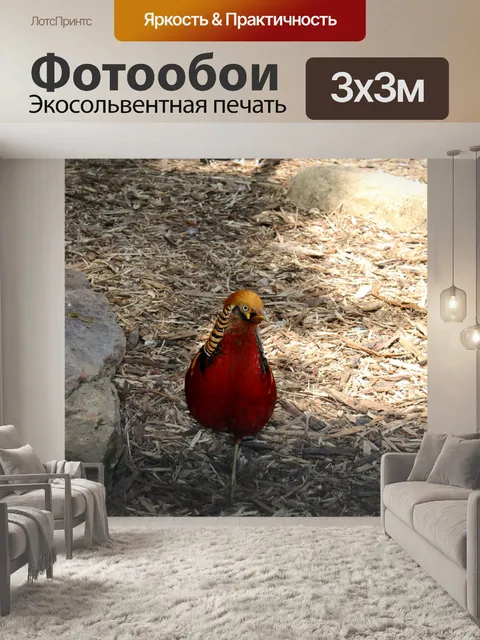 Фотообои Красная Птица