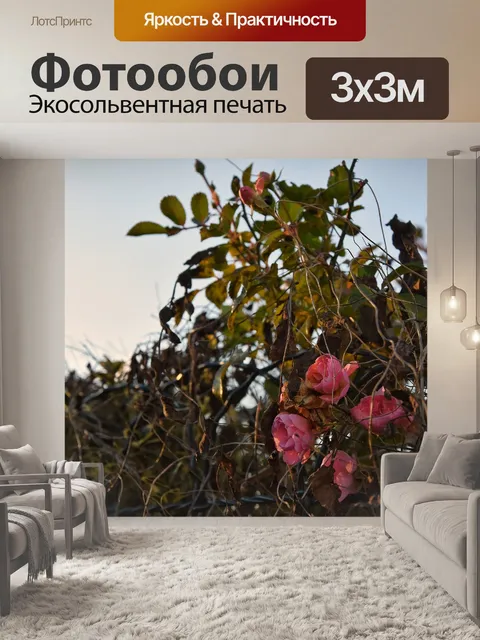 Фотообои Приусадебный участок