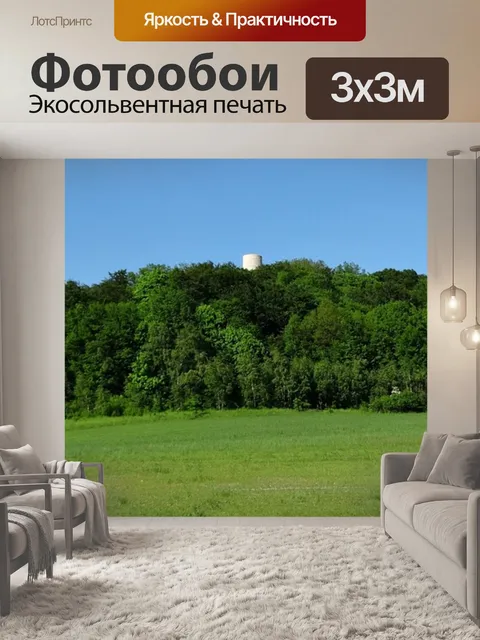 Фотообои Деревья