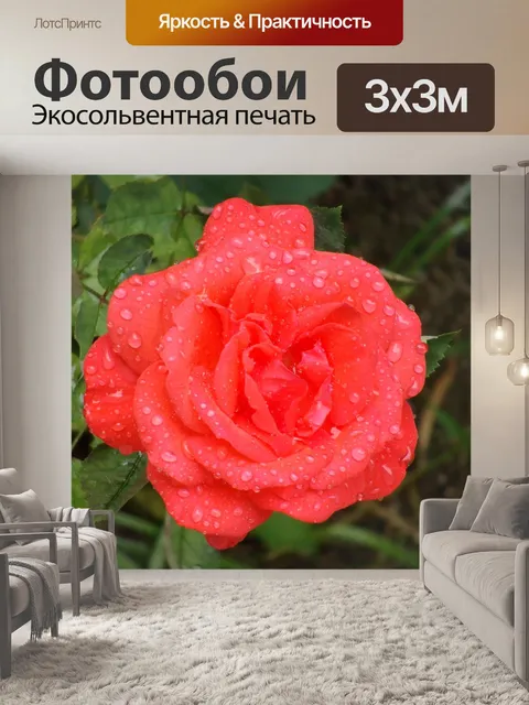 Фотообои Розы
