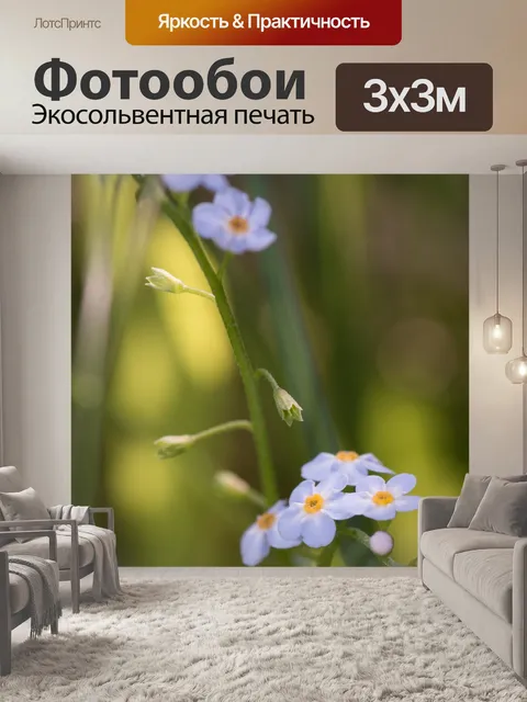Фотообои Цветы