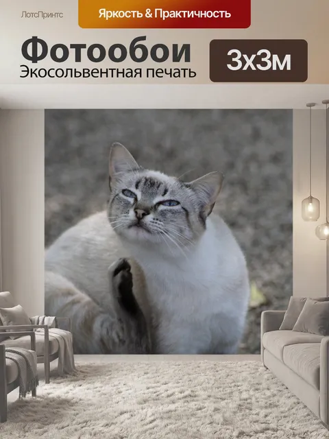 Фотообои Птицы